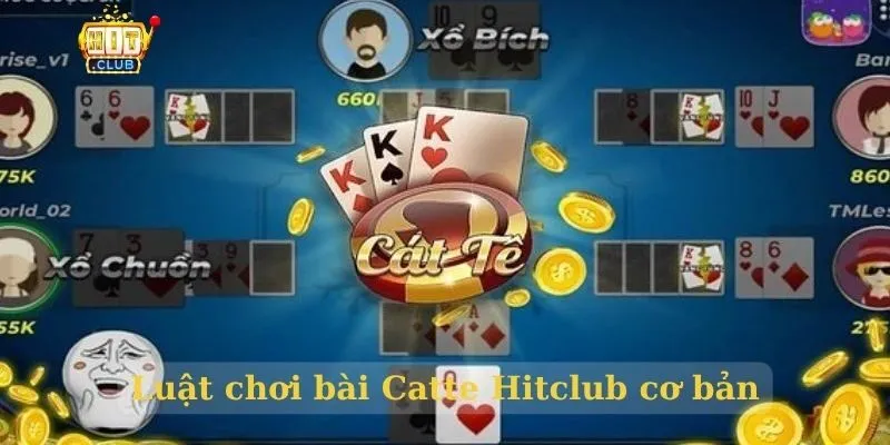 Tìm hiểu bài Catte HitClub – Trò chơi dân gian đầy hấp dẫn Luật chơi bài Catte Hitclub cơ bản
